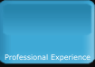 Professional Experience