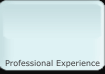 Professional Experience